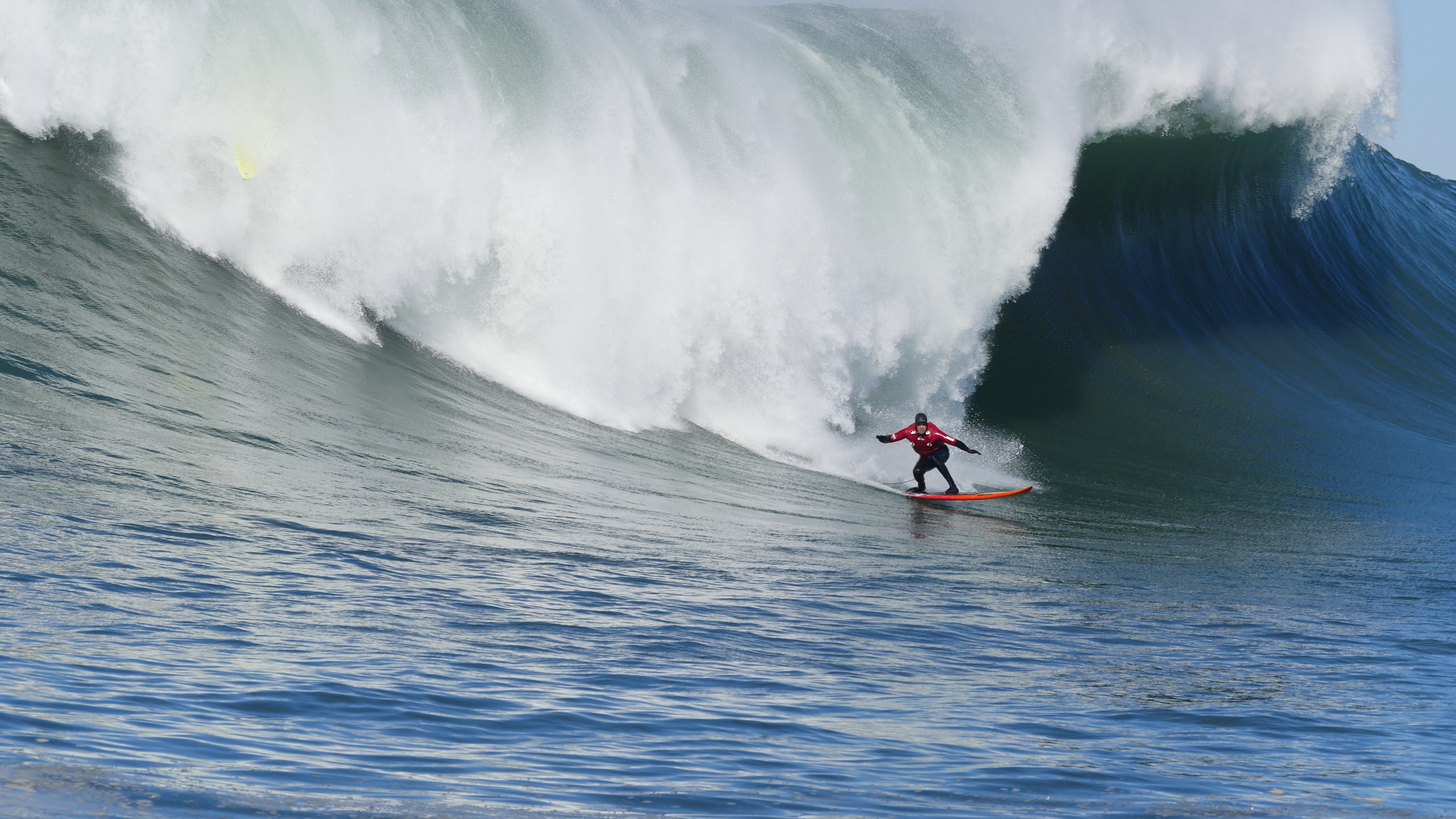 Shop - Freeline Surf Shop